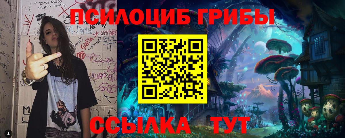 Псилоцибиновые грибы GOLDEN TEACHER  Вход с VPN  Элиста 
