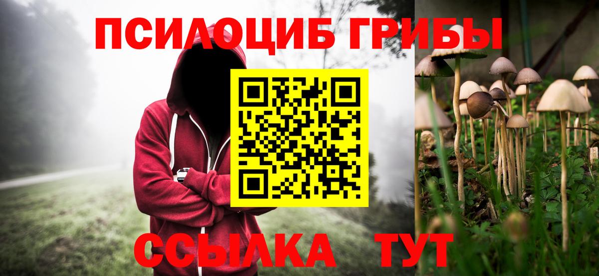 Псилоцибиновые грибы Cubensis Элиста